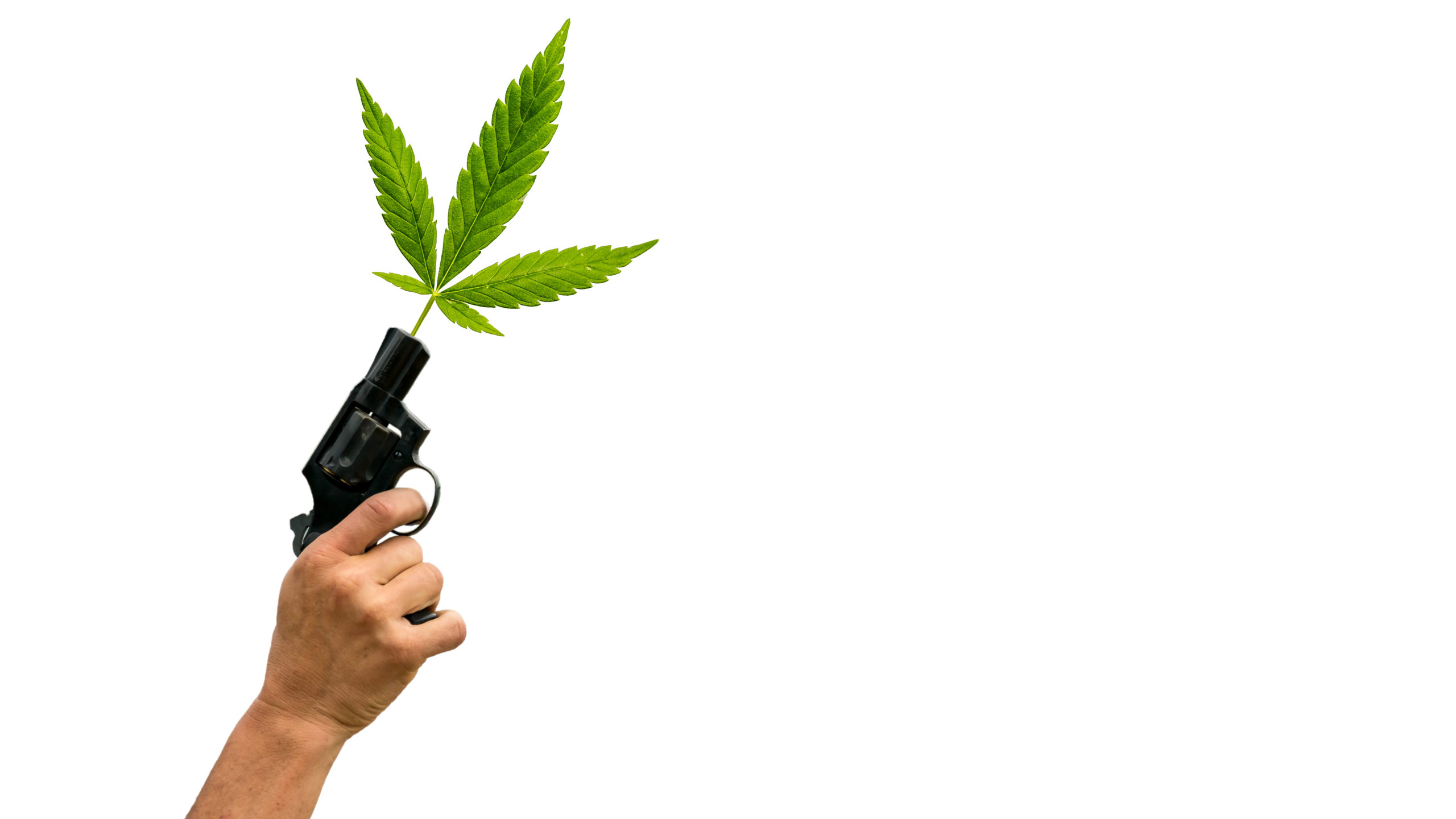 Can I Own a Gun with a Medical Marijuana Card in Connecticut?